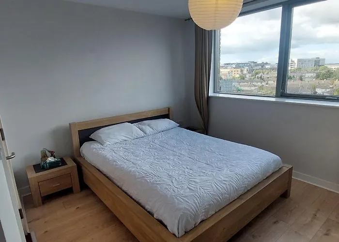 公寓 Modern 2bd 4mins To Guinness Storehouse